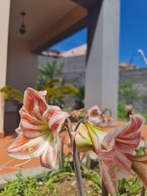 Casa Da Portada Villa Сейшал Екстериор снимка